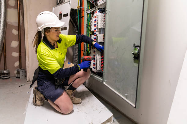 Best Electric Panel Repair  in La Vergne, TN